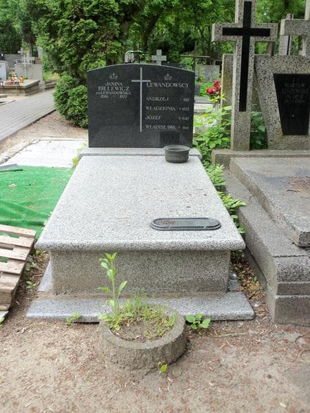 Zdjęcie grobu: Józef Lewandowski