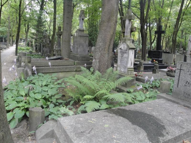 Zdjęcie grobu Stanisław Krzyżanowski (1)