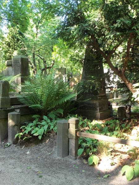 Zdjęcie grobu Kazimierz Olszanowski (1)