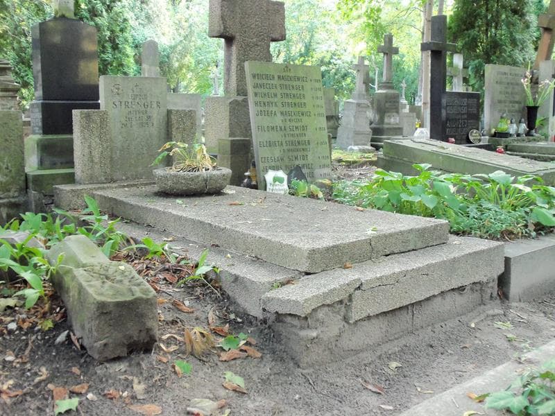 Zdjęcie grobu Leopold Strenger (1)