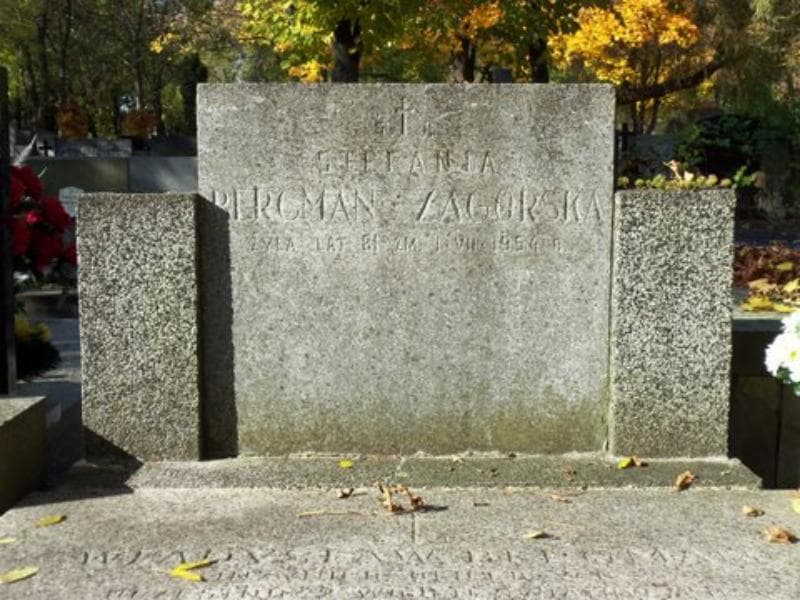 Zdjęcie grobu Władysław Bergman (2)