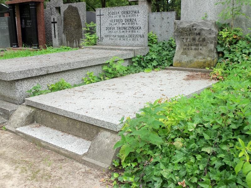 Zdjęcie grobu Lucjan Tylman (1)