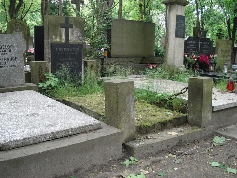 Zdjęcie grobu Piotr Drohomirecki (1)
