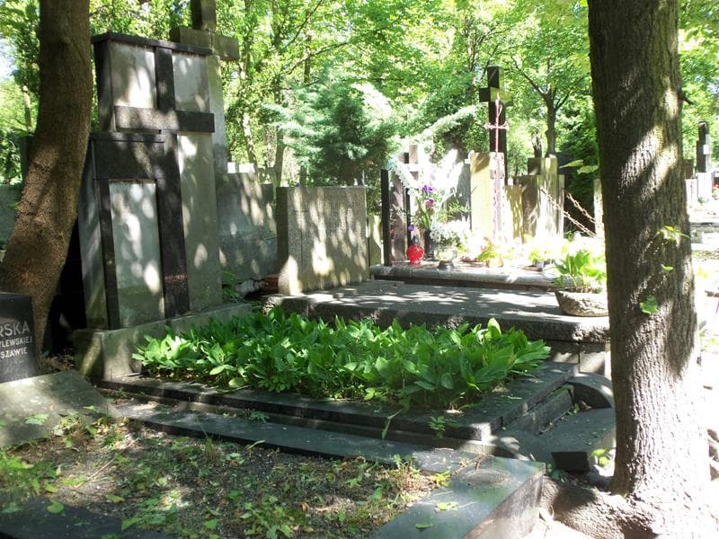 Zdjęcie grobu Karol Ward (1)