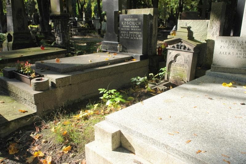 Zdjęcie grobu Władysław Rudziński (1)