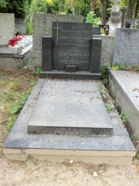 Zdjęcie grobu: Regina Karolina Dzięciołowska