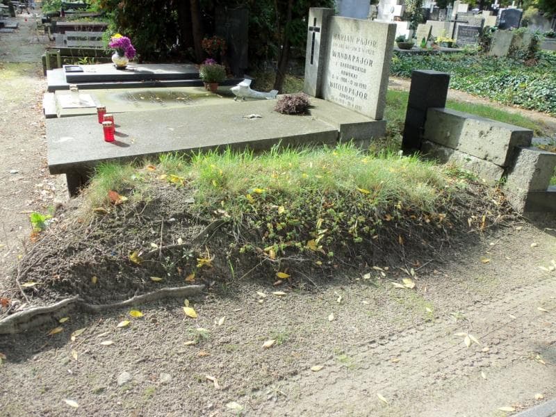 Zdjęcie grobu Anonim (1)