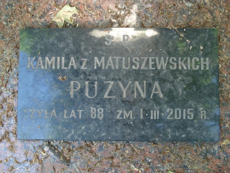 Zdjęcie grobu Kamila Puzyna (2)