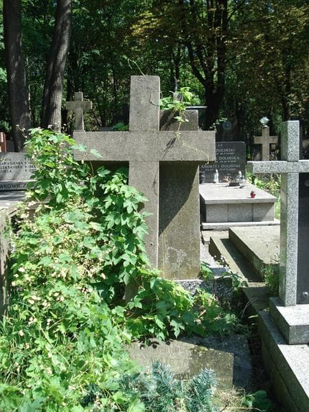 Zdjęcie grobu Anna Piechowicz (2)