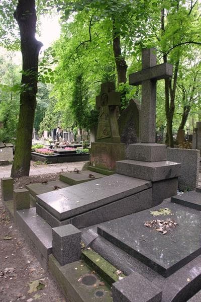 Zdjęcie grobu: Zygmunt Borowy