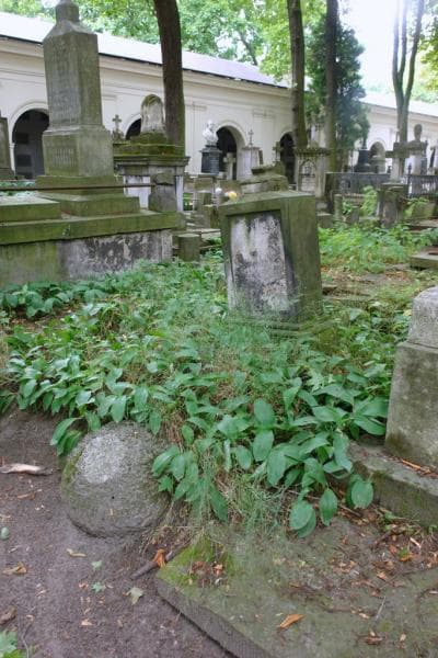 Zdjęcie grobu: Franciszek Zawadzki