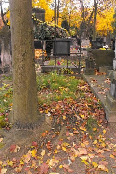 Zdjęcie grobu Anonim (2)