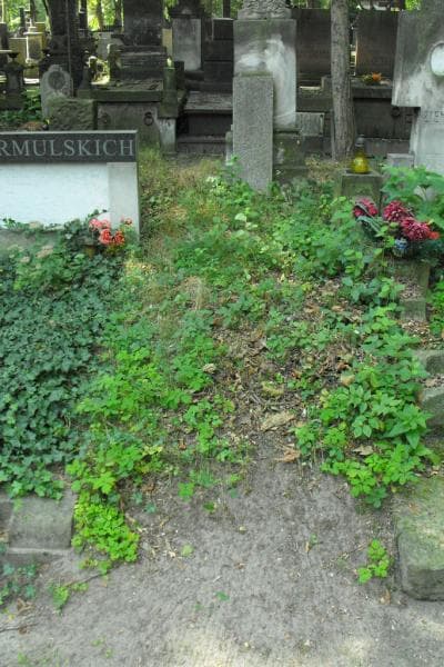 Zdjęcie grobu: Jan Miklaszewski