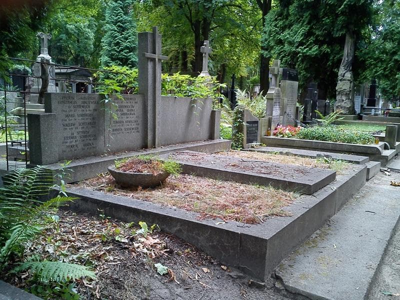 Zdjęcie grobu: Konstancja Janczewska