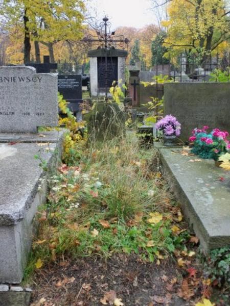 Zdjęcie grobu: Henryk Lesiński