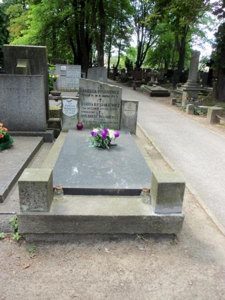 Zdjęcie grobu: Tadeusz Busiakiewicz