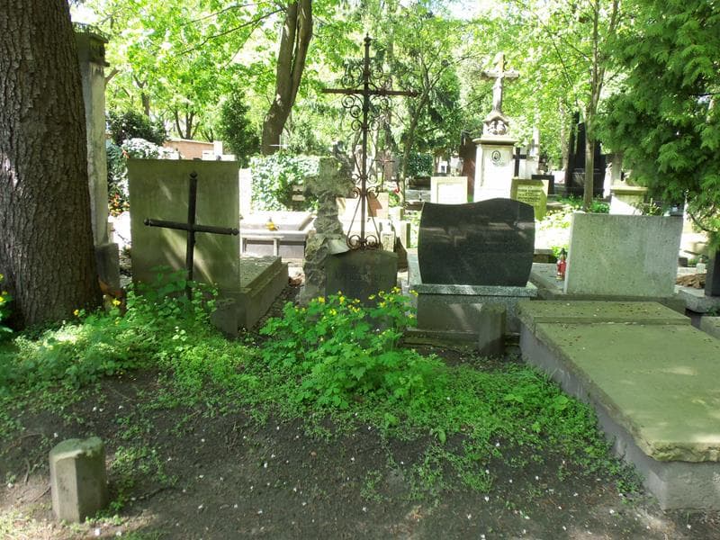 Zdjęcie grobu: Stanisław Maruszewski