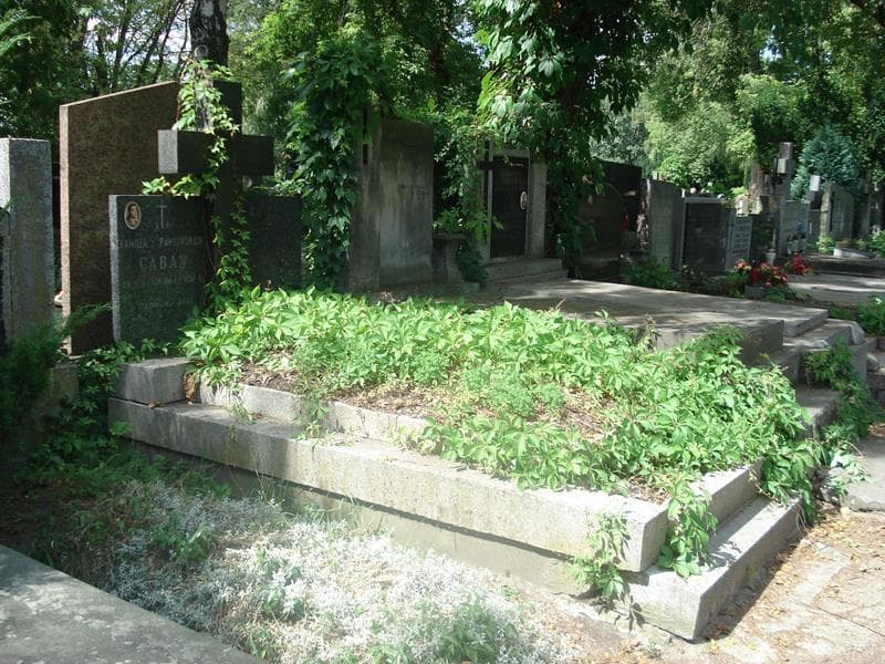 Zdjęcie grobu Kamilla Caban (1)