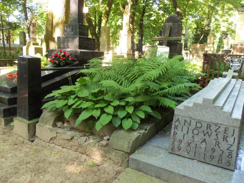 Zdjęcie grobu Jolanta Cetnarowicz (1)