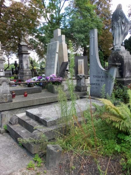 Zdjęcie grobu Teresa Bilik (1)