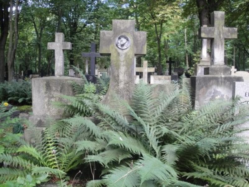 Zdjęcie grobu Czesia Olszańska (2)