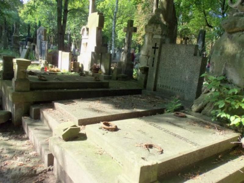 Zdjęcie grobu Edward Goślicki (1)