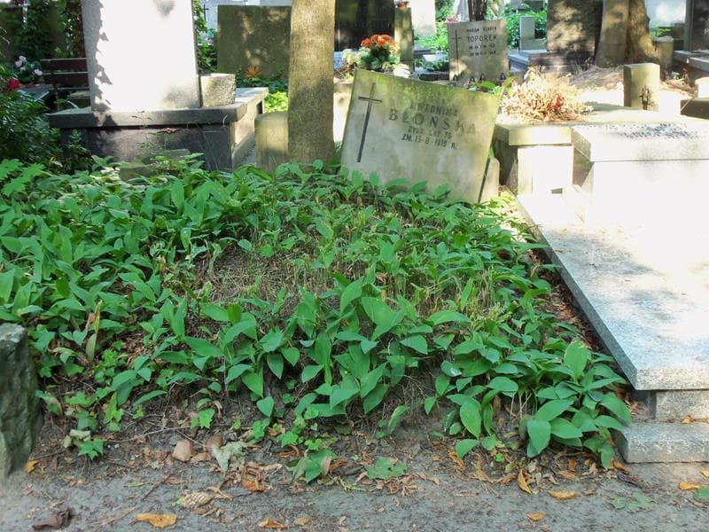 Zdjęcie grobu: Antonina Błońska