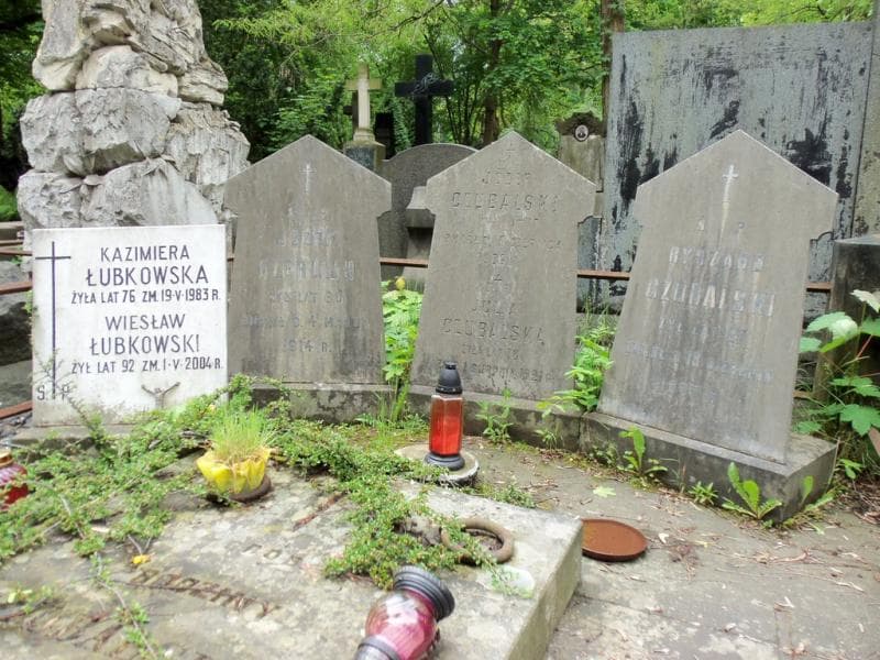 Zdjęcie grobu Józef Klerlajn (2)