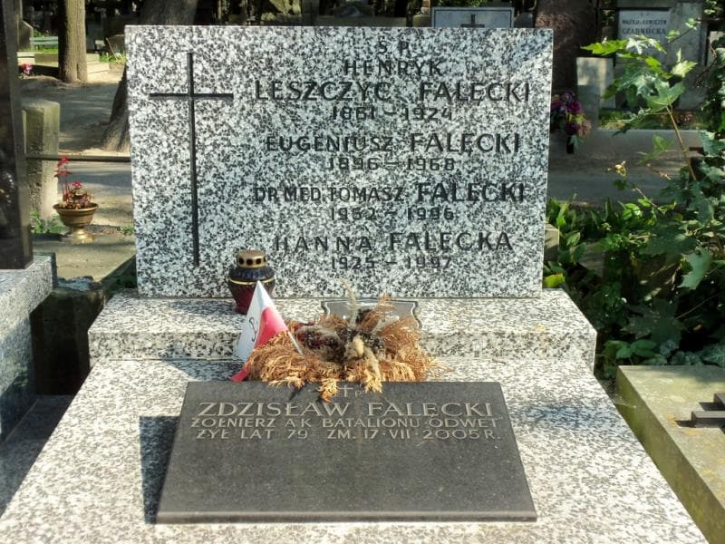 Zdjęcie grobu Henryk Leszczyc Falęcki (2)