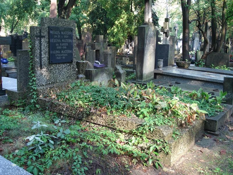 Zdjęcie grobu: Helena Materna