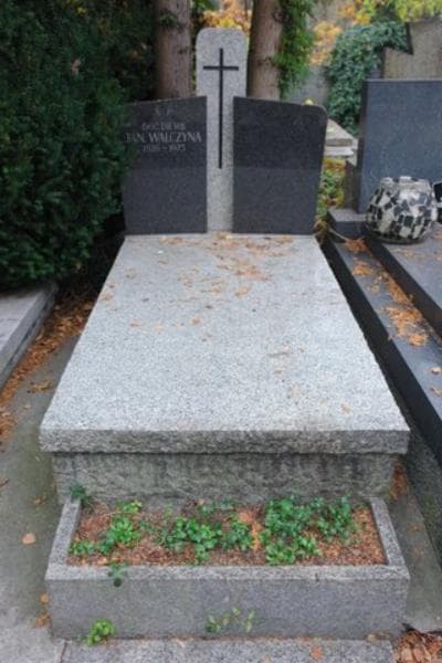 Zdjęcie grobu: Jan Walczyna