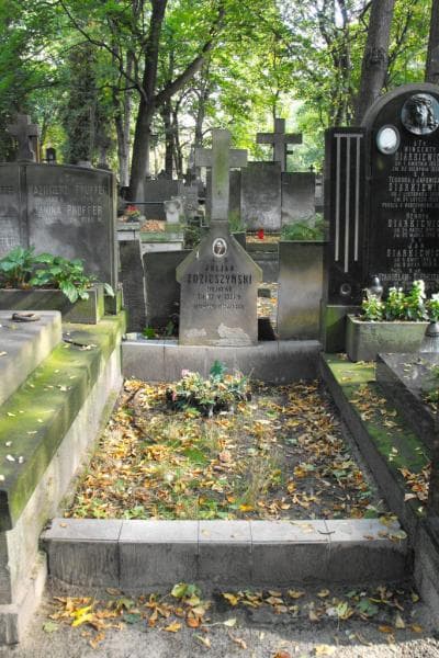 Zdjęcie grobu Juljan Zdzieszyński (1)