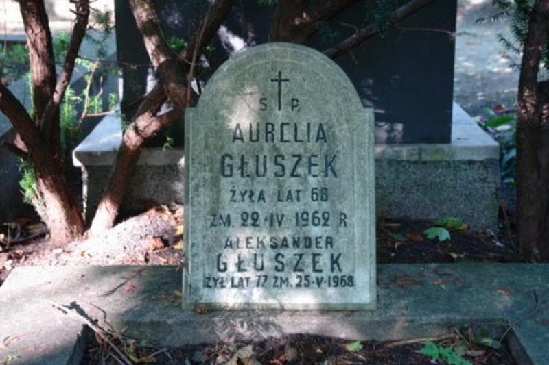 Zdjęcie grobu Aleksander Głuszek (2)
