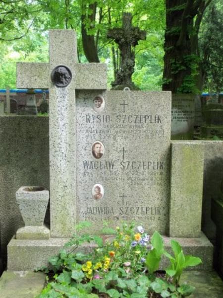 Zdjęcie grobu Wacław Szczeplik (1)