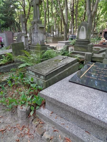 Zdjęcie grobu: Władysław Kubik