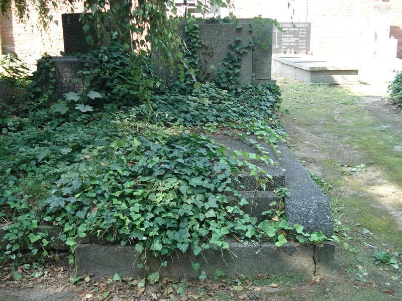 Zdjęcie grobu Zofia Niemczewska (1)