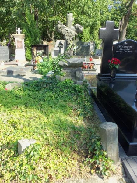 Zdjęcie grobu: Jozefa Brzosko