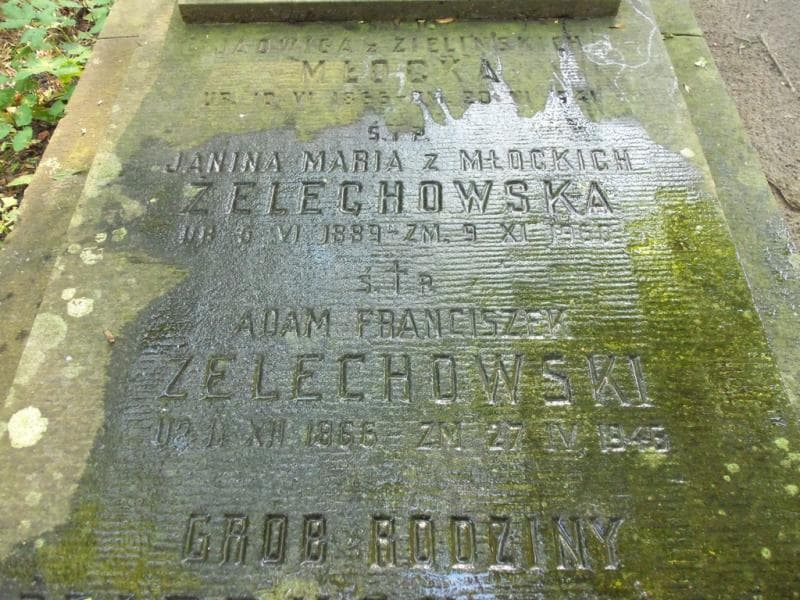 Zdjęcie grobu Jadwiga Młocka (2)