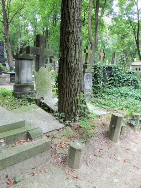 Zdjęcie grobu Helena Dechaine (1)