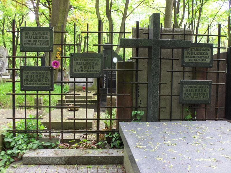 Zdjęcie grobu Stanisława Kulesza (2)