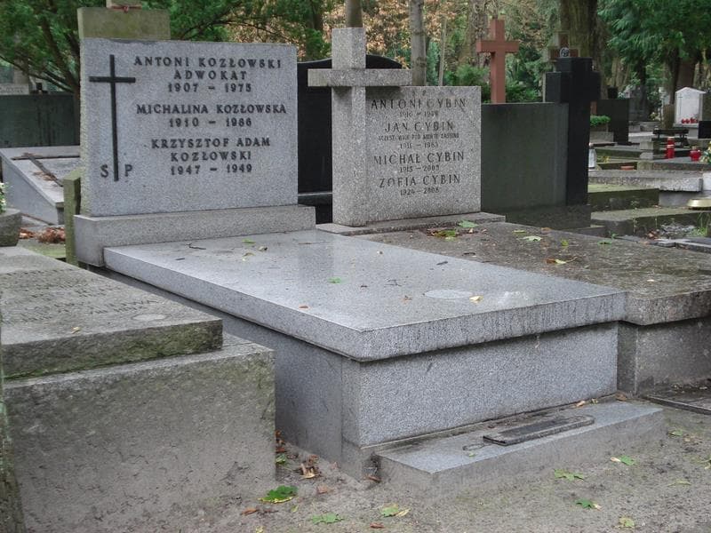Zdjęcie grobu Michalina Kozłowska (1)