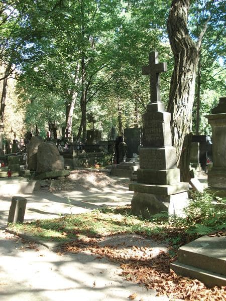 Zdjęcie grobu Adolf Bzura (1)