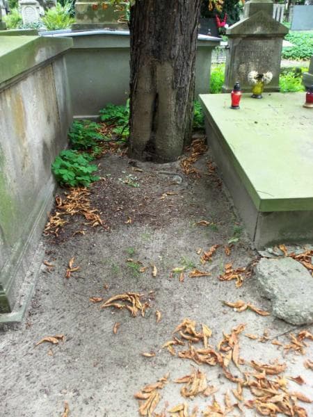 Zdjęcie grobu: Pole Grobowe
