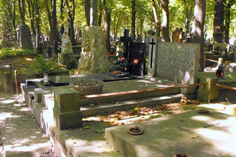 Zdjęcie grobu: Władysław Polak