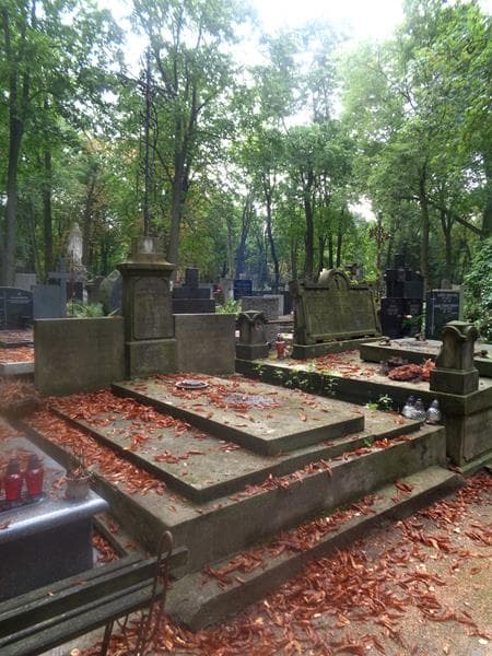 Zdjęcie grobu: Franciszek Tereba