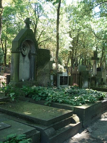Zdjęcie grobu Irenka Magierowska (1)