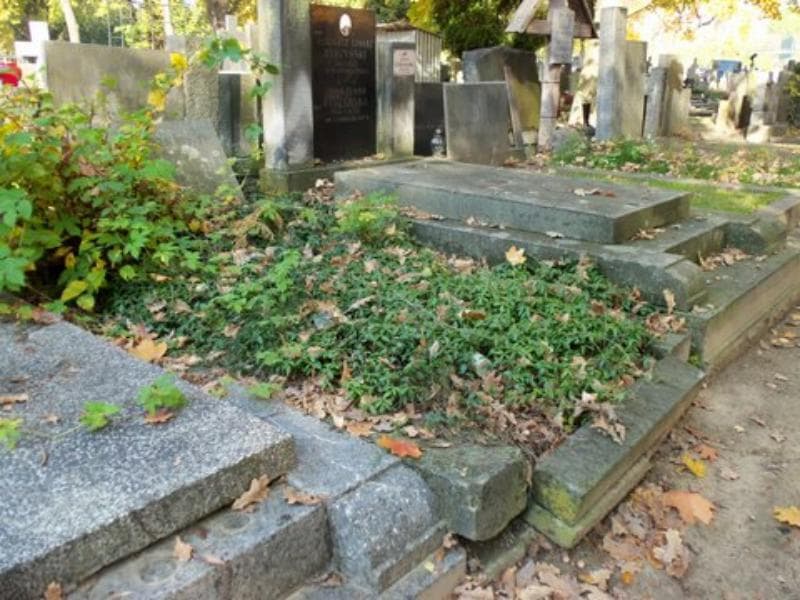 Zdjęcie grobu Wacława Podolska (1)