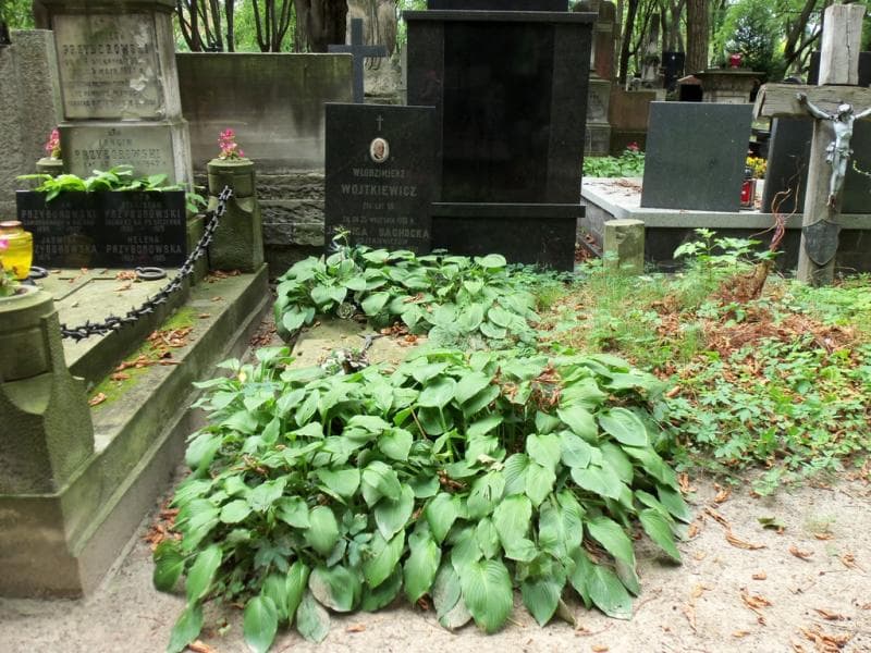 Zdjęcie grobu: Jadwiga Sąchocka
