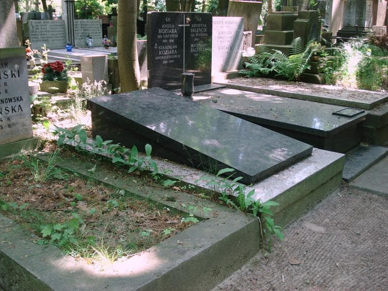 Zdjęcie grobu: Zygmunt Hubert
