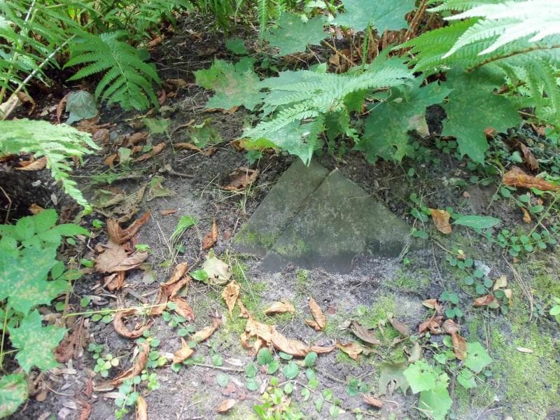 Zdjęcie grobu Ludwika Brzezińska (1)
